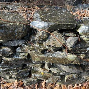 Meet your Posher, Mary jane